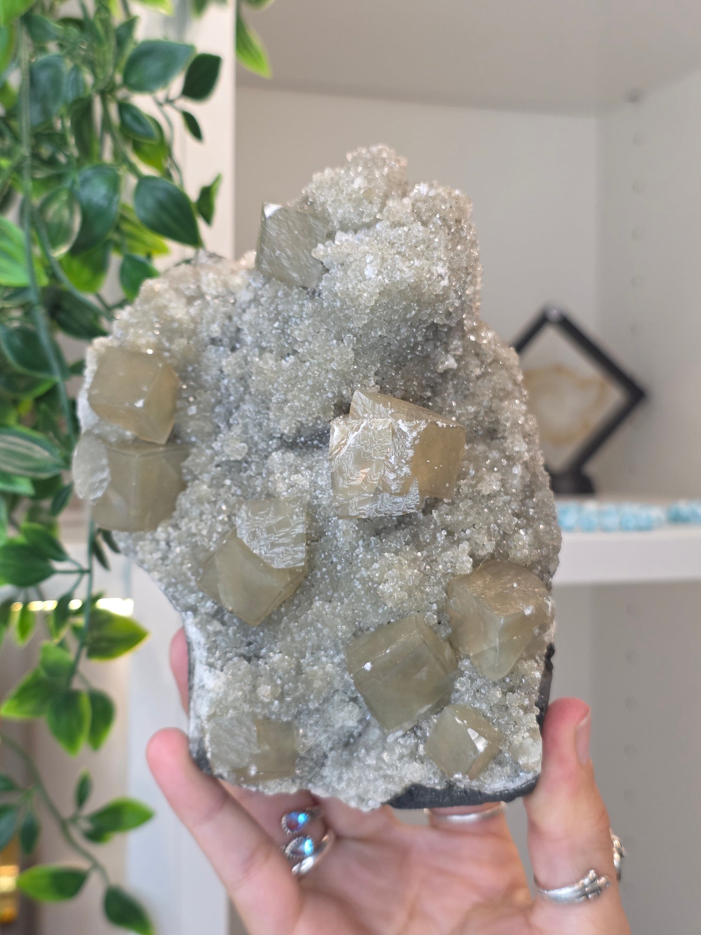 Honey Calcite Cubes on Druzy Sugar Calcite and Stilbite Matrix from Madhya Pradesh, India - AL