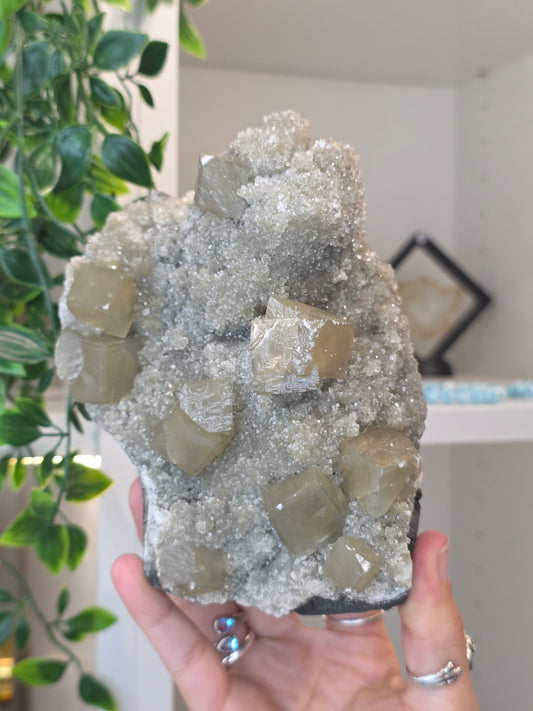 Honey Calcite Cubes on Druzy Sugar Calcite and Stilbite Matrix from Madhya Pradesh, India - AL