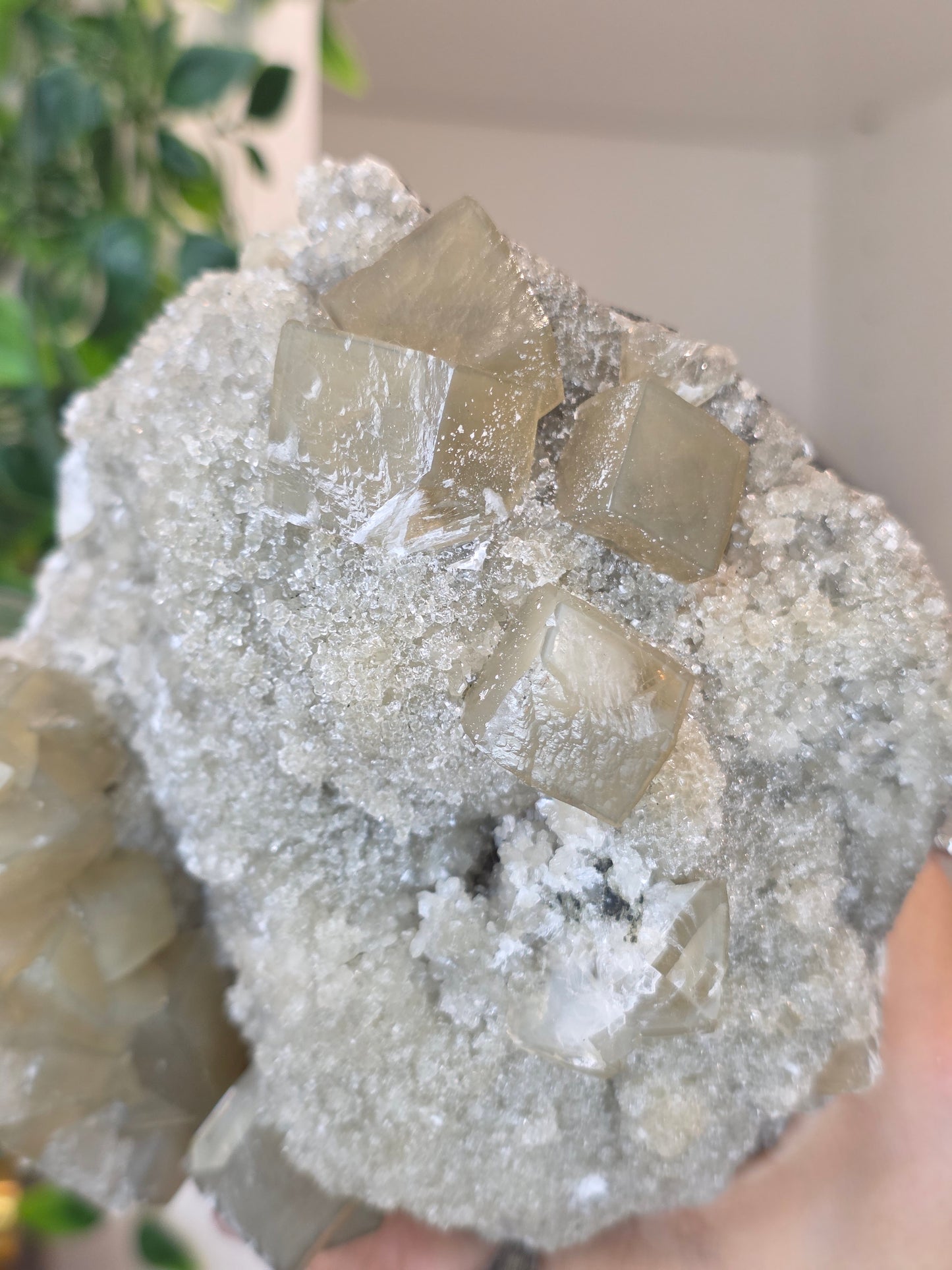 Honey Calcite Cubes on Druzy Sugar Calcite and Stilbite Matrix from Madhya Pradesh, India - AK