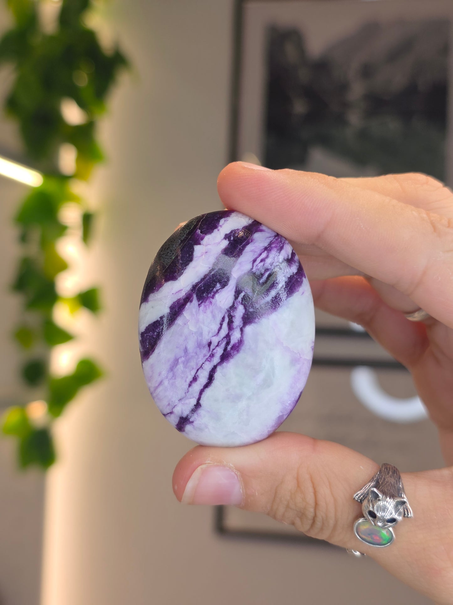 Purple Green Kammererite Palm Stones