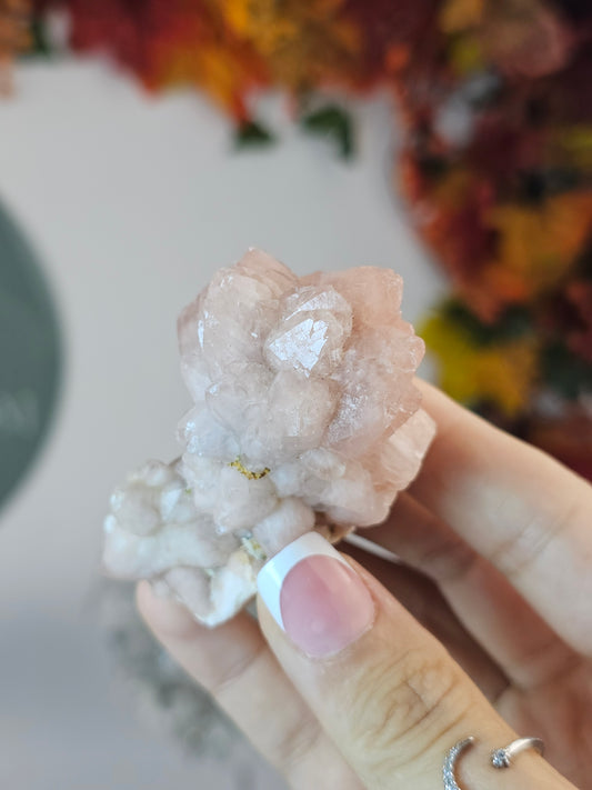 Pink Amethyst Flower B from Madagascar - MAS2641