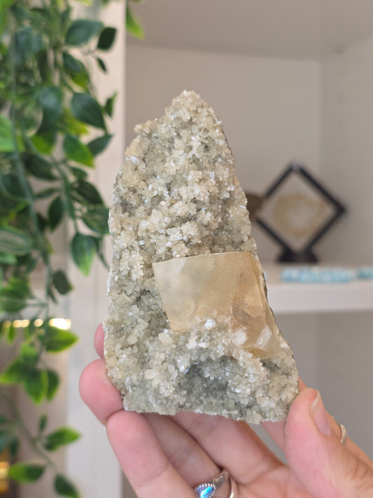 Honey Calcite Cubes on Druzy Sugar Calcite and Stilbite Matrix from Madhya Pradesh, India - O