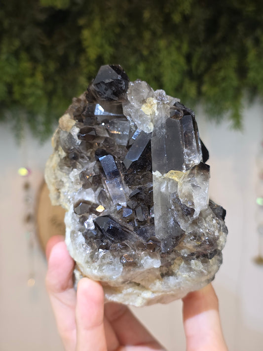 Brazilian Smokey Quartz Cluster
