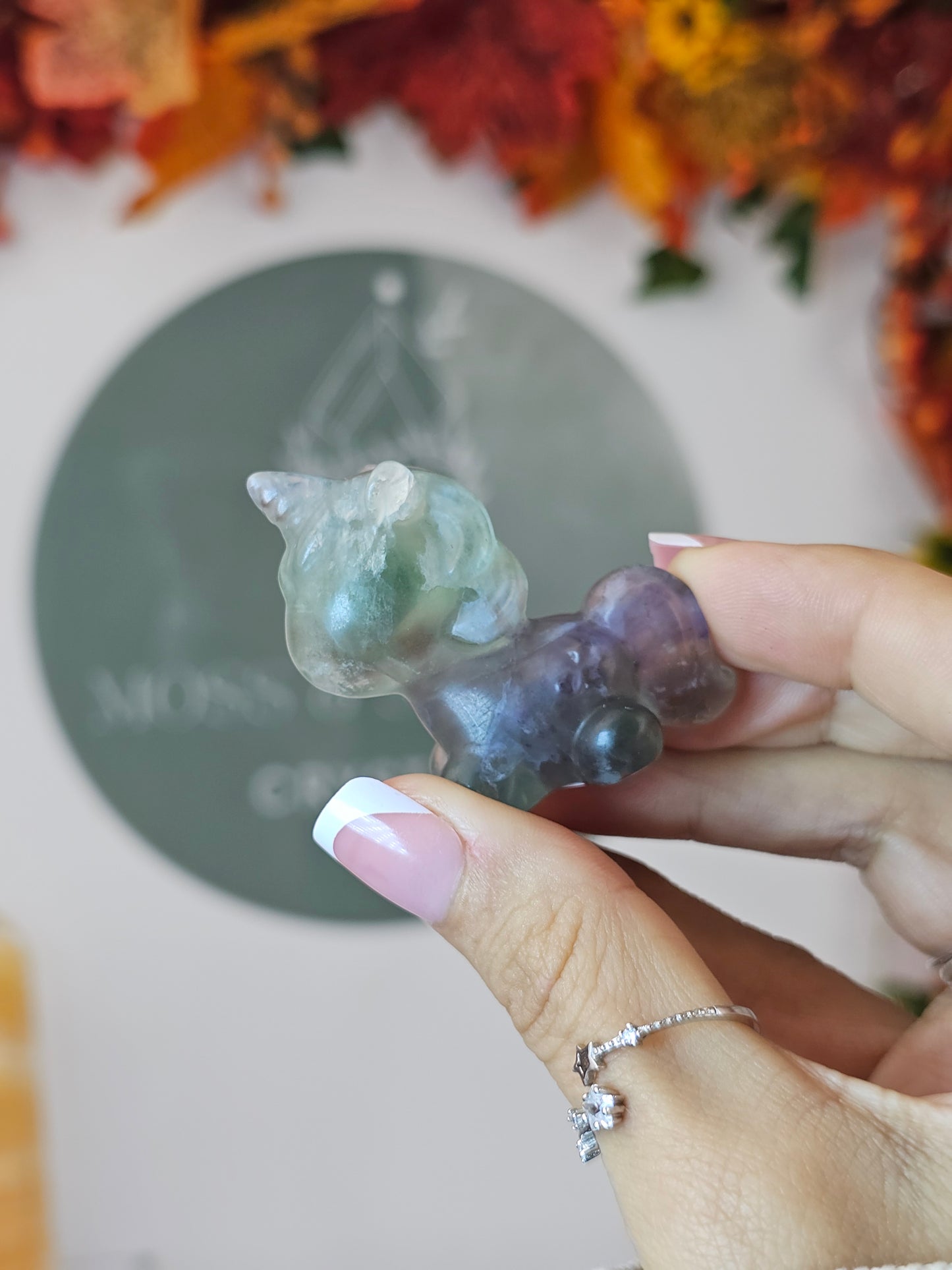 Fluorite Unicorn A - MAS2054