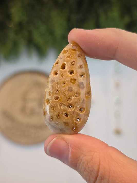 Fossilised Coral Cabachon