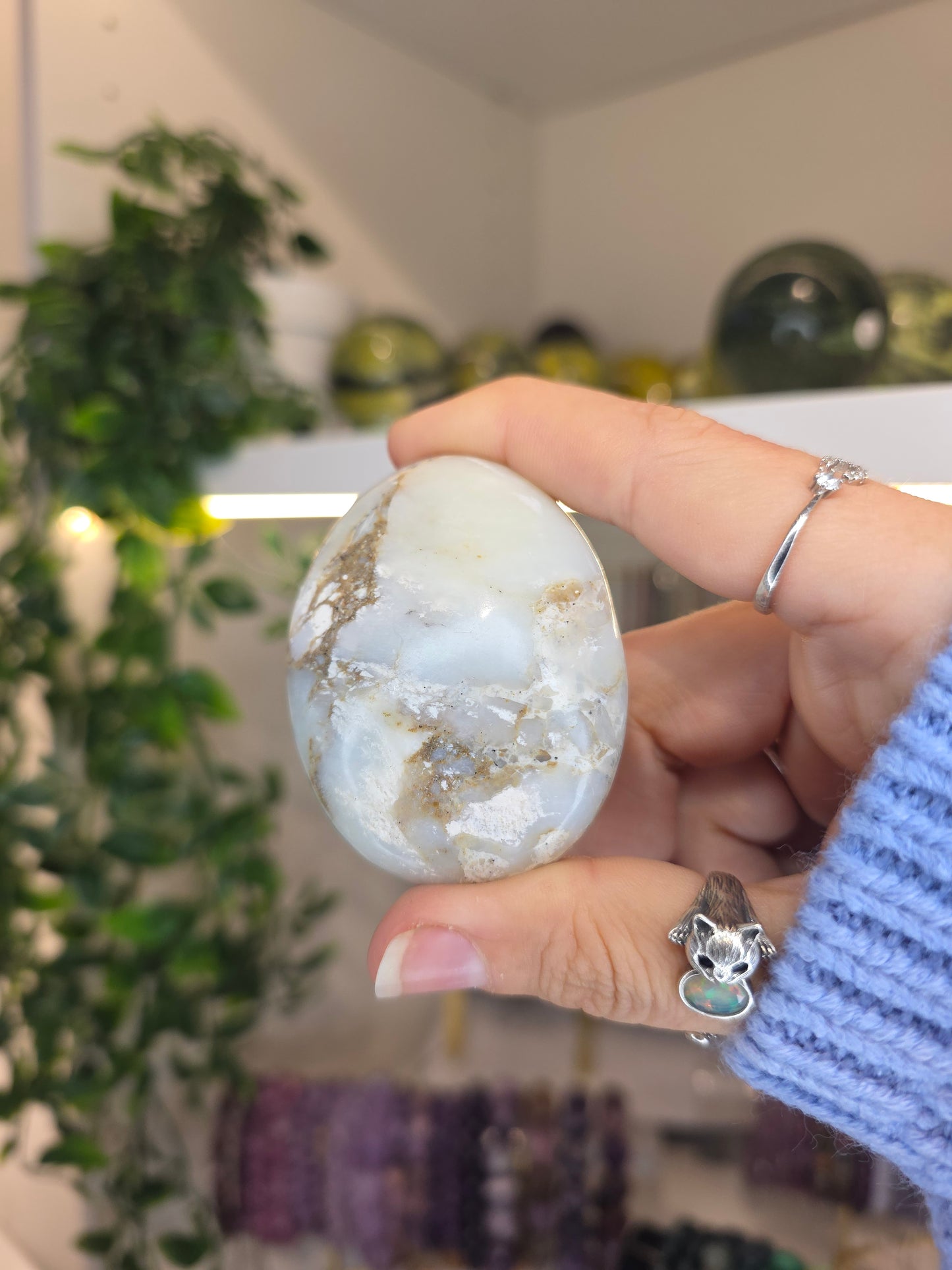 Peruvian Andean Opal Palms