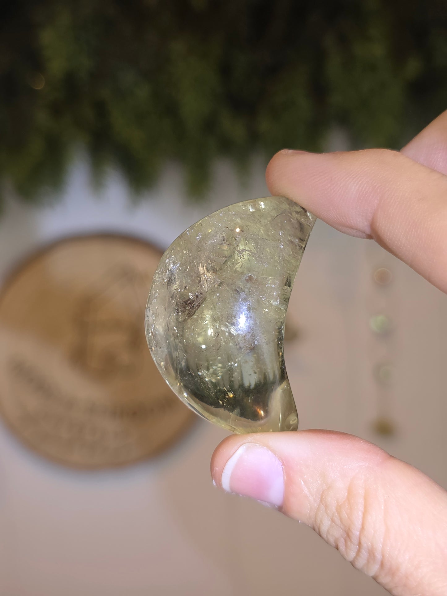 Brazilian Citrine Moons