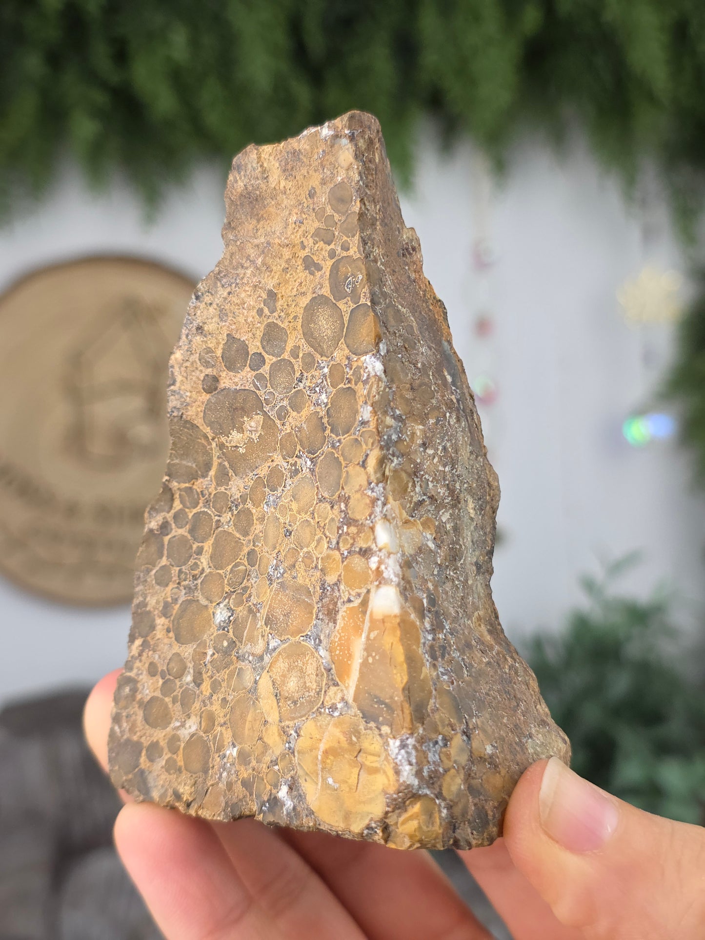 Raw Cobra Jasper from India C