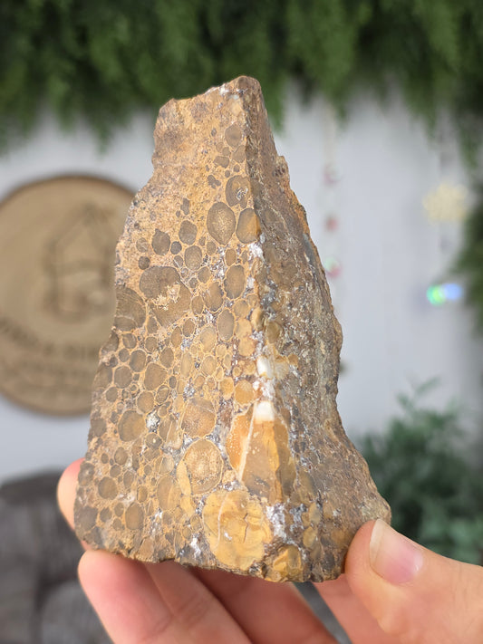 Raw Cobra Jasper from India C