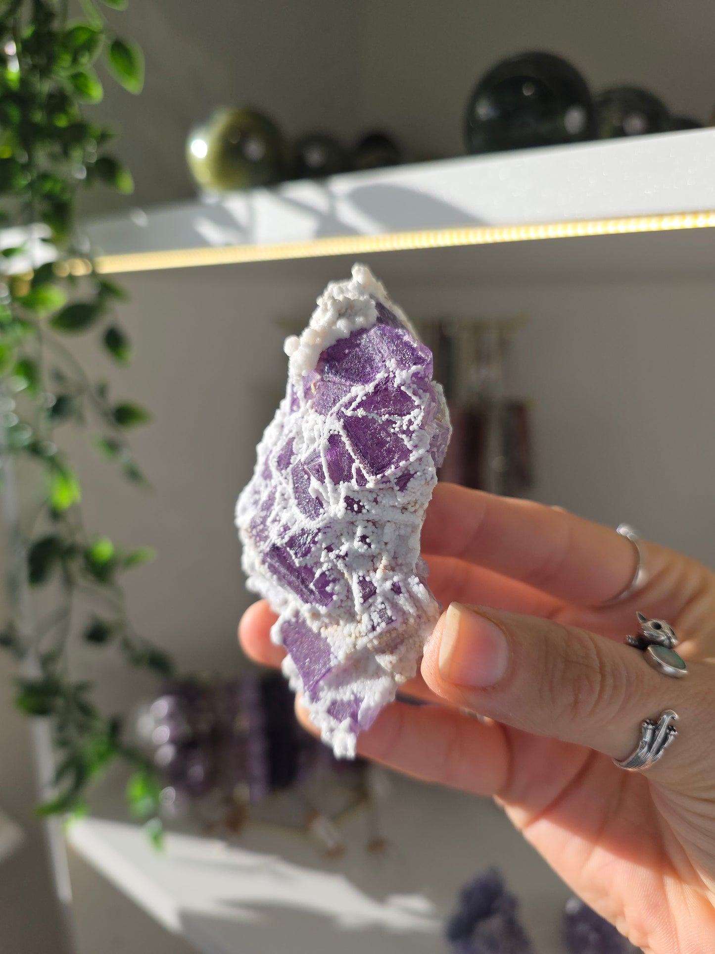 Purple Fluorite with Botryoidal Calcite from Weishan, Yunnan Province, China B