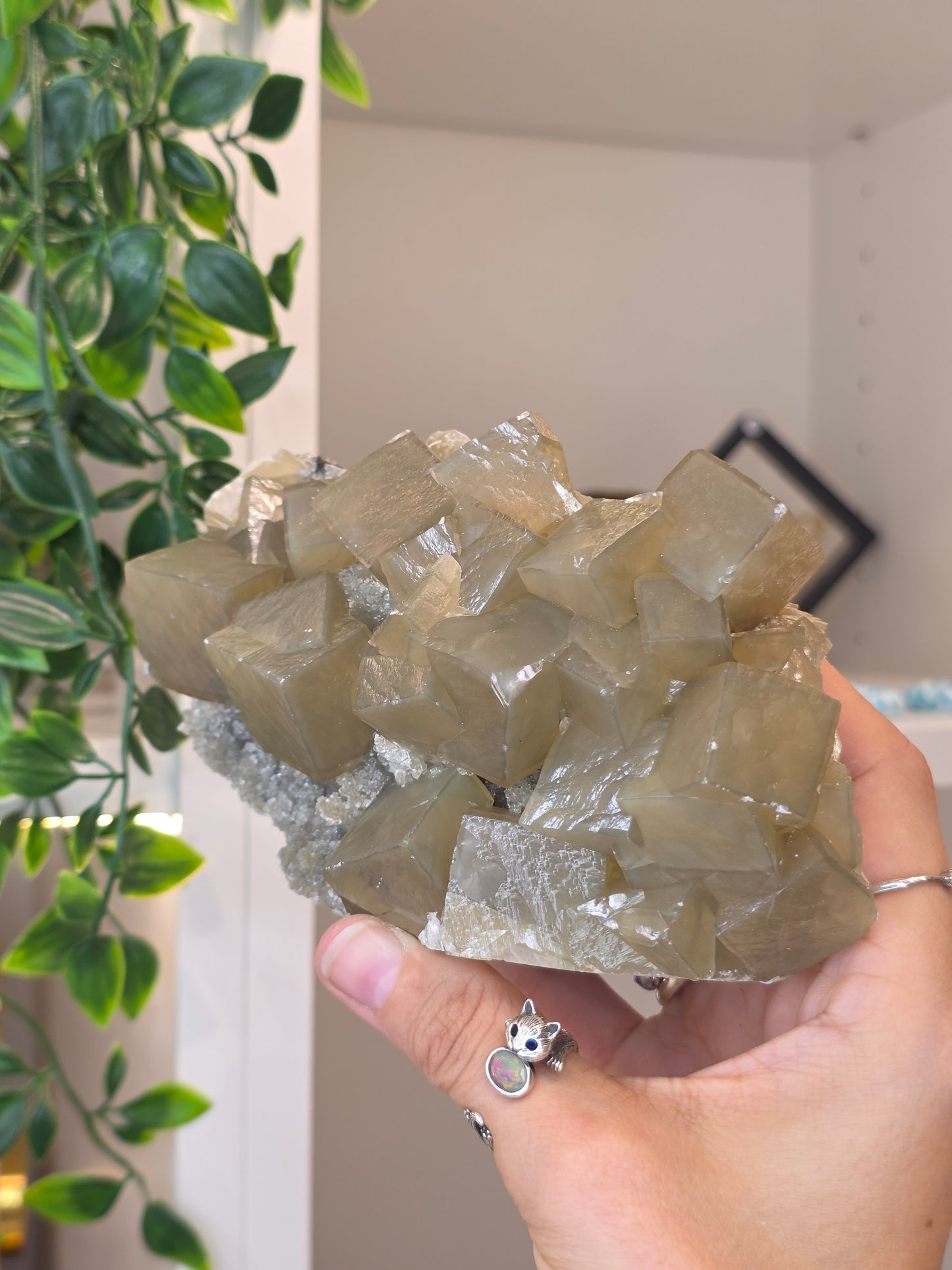 Honey Calcite Cubes on Druzy Sugar Calcite and Stilbite Matrix from Madhya Pradesh, India - AM