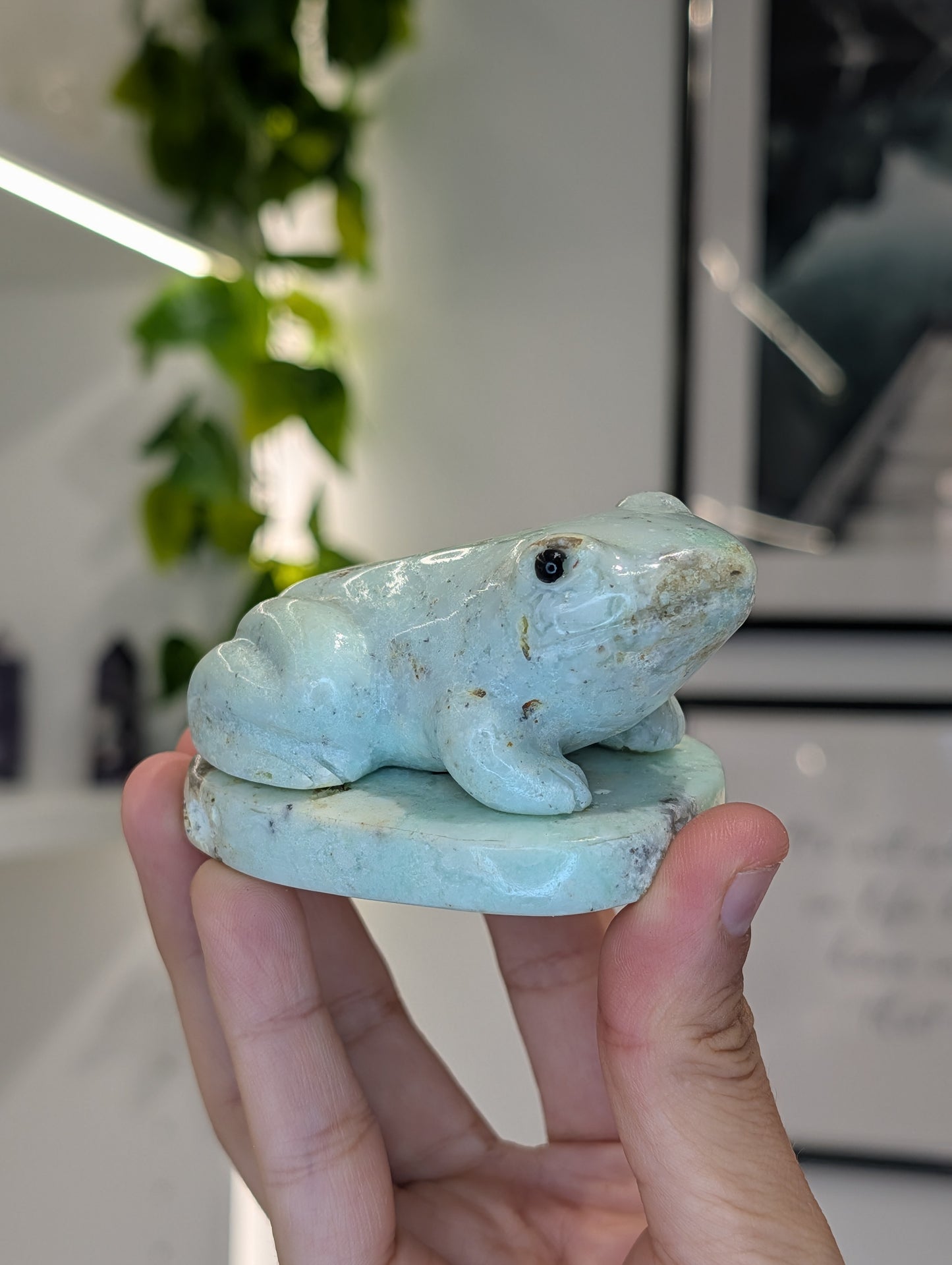 Hand Carved Indonesian Chrysoprase Frogs and Turtles