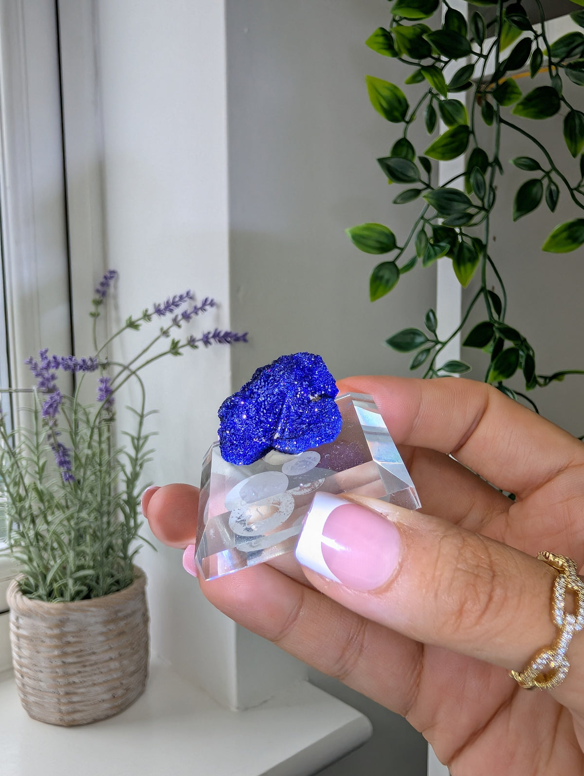 Azurite Rosettes from Morocco