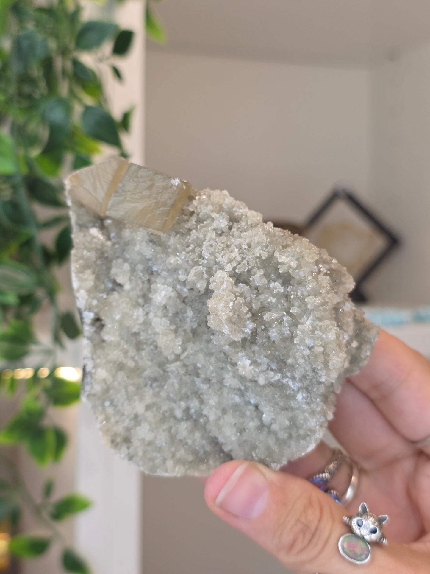 Honey Calcite Cubes on Druzy Sugar Calcite and Stilbite Matrix from Madhya Pradesh, India - T