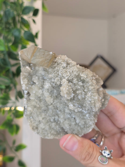 Honey Calcite Cubes on Druzy Sugar Calcite and Stilbite Matrix from Madhya Pradesh, India - T