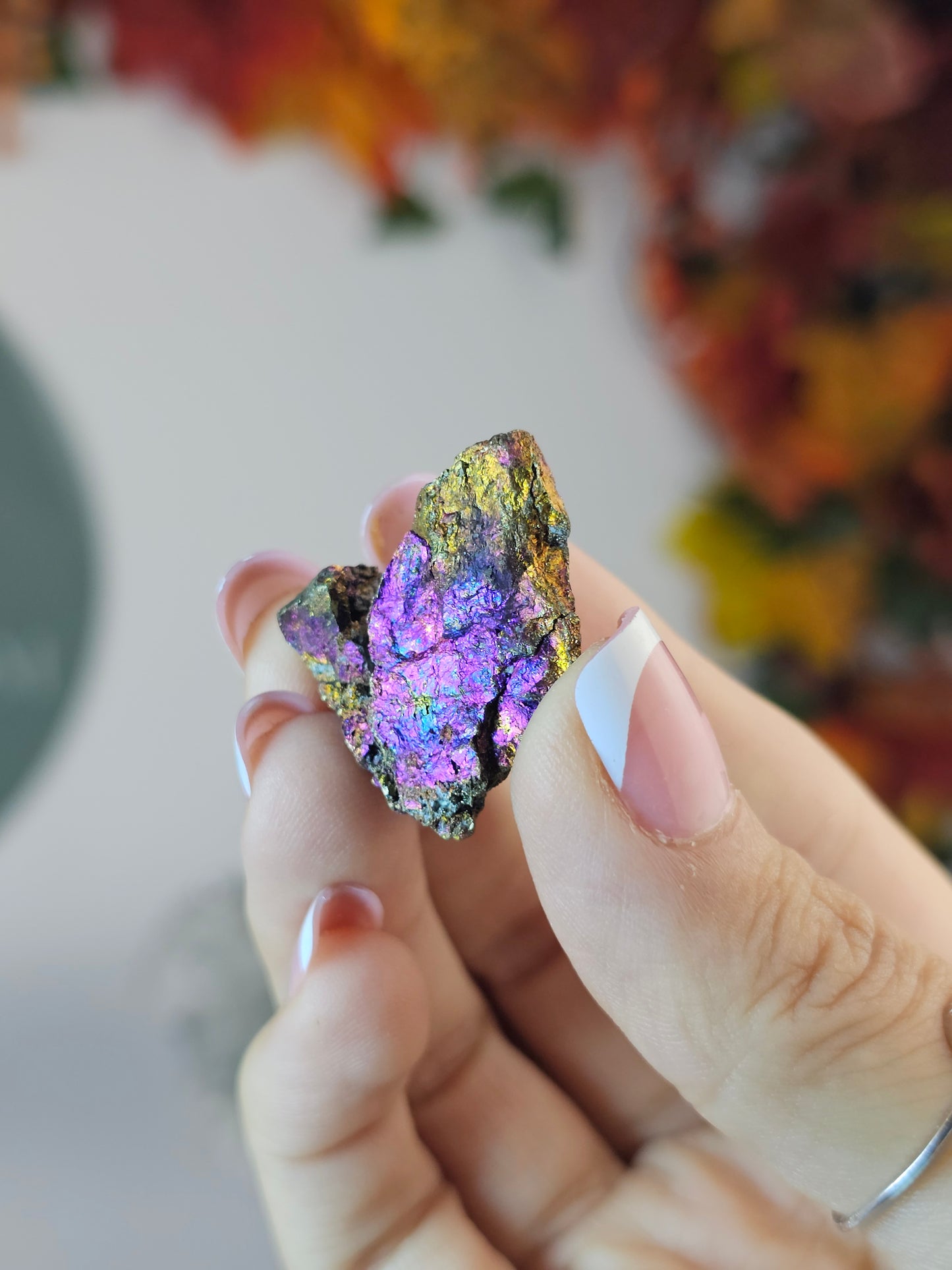 Intuitively chosen Colourful Pyrite on Limestone Matrix - MAS2805