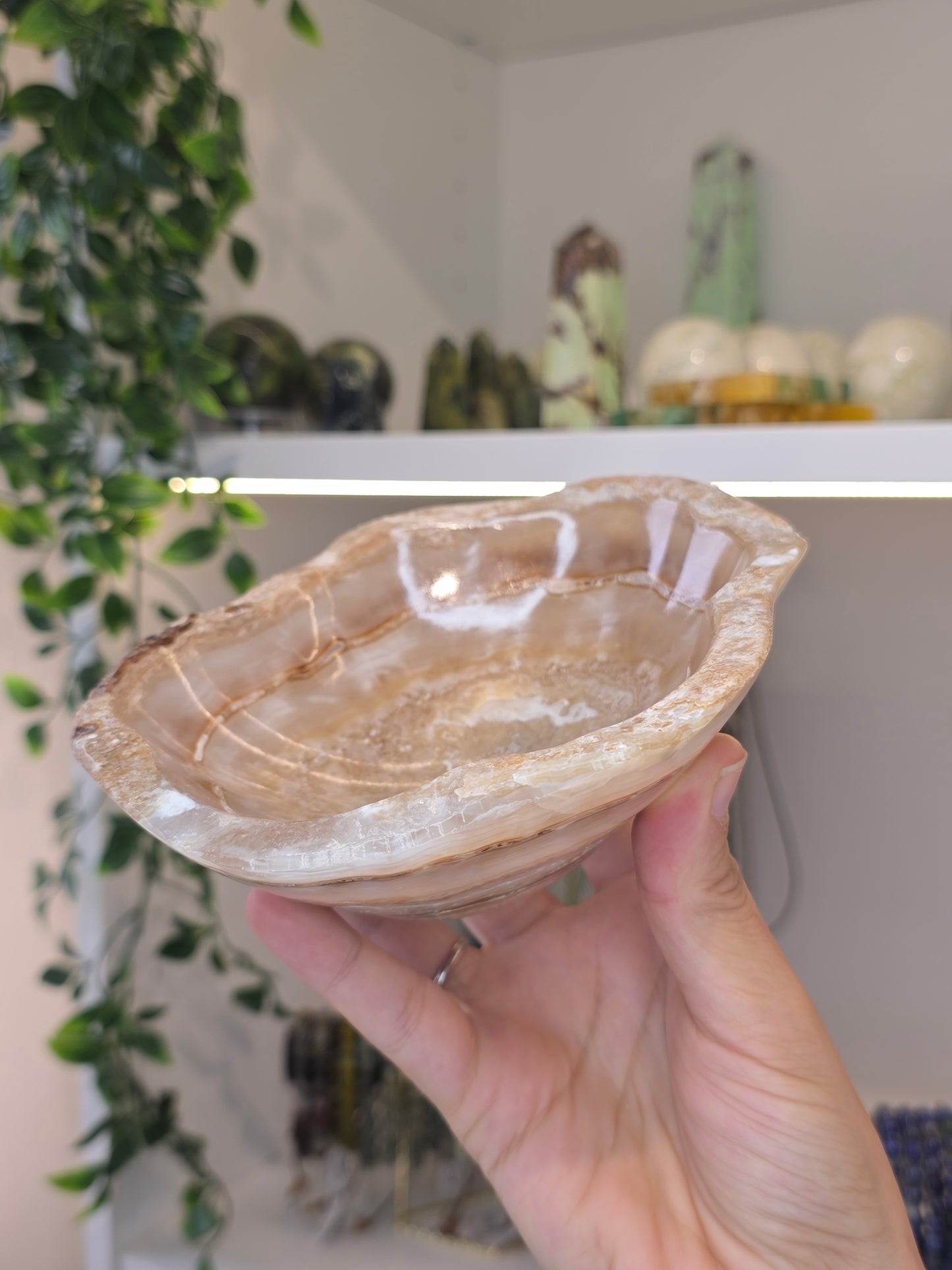 Mexican Onyx Freeform Bowl - Honey Calcite - B