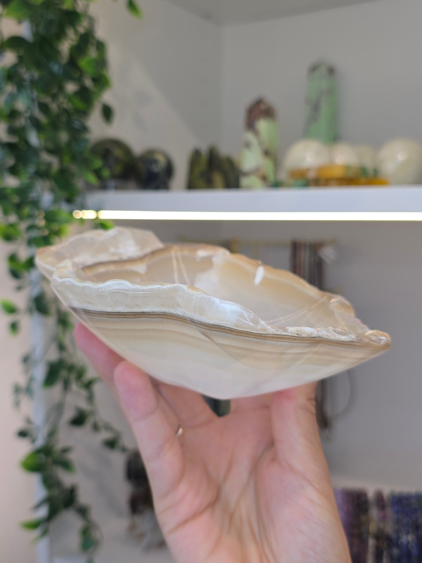 Mexican Onyx Freeform Bowl - Honey Calcite - E