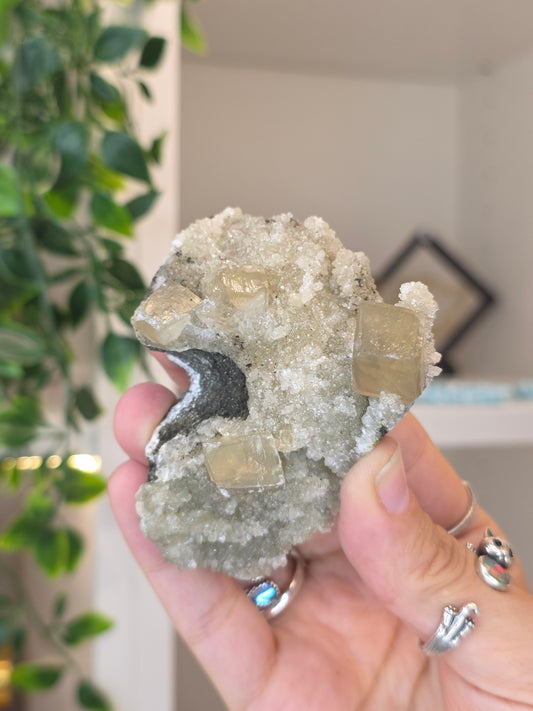 Honey Calcite Cubes on Druzy Sugar Calcite and Stilbite Matrix from Madhya Pradesh, India - C