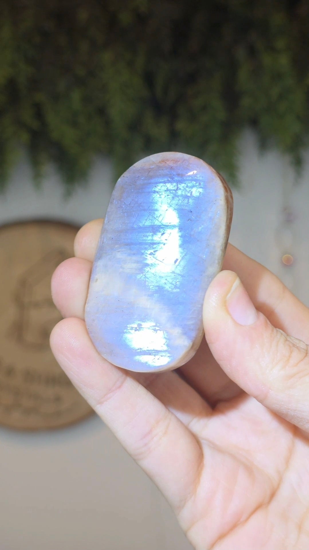 Moonstone with Sunstone Palms
