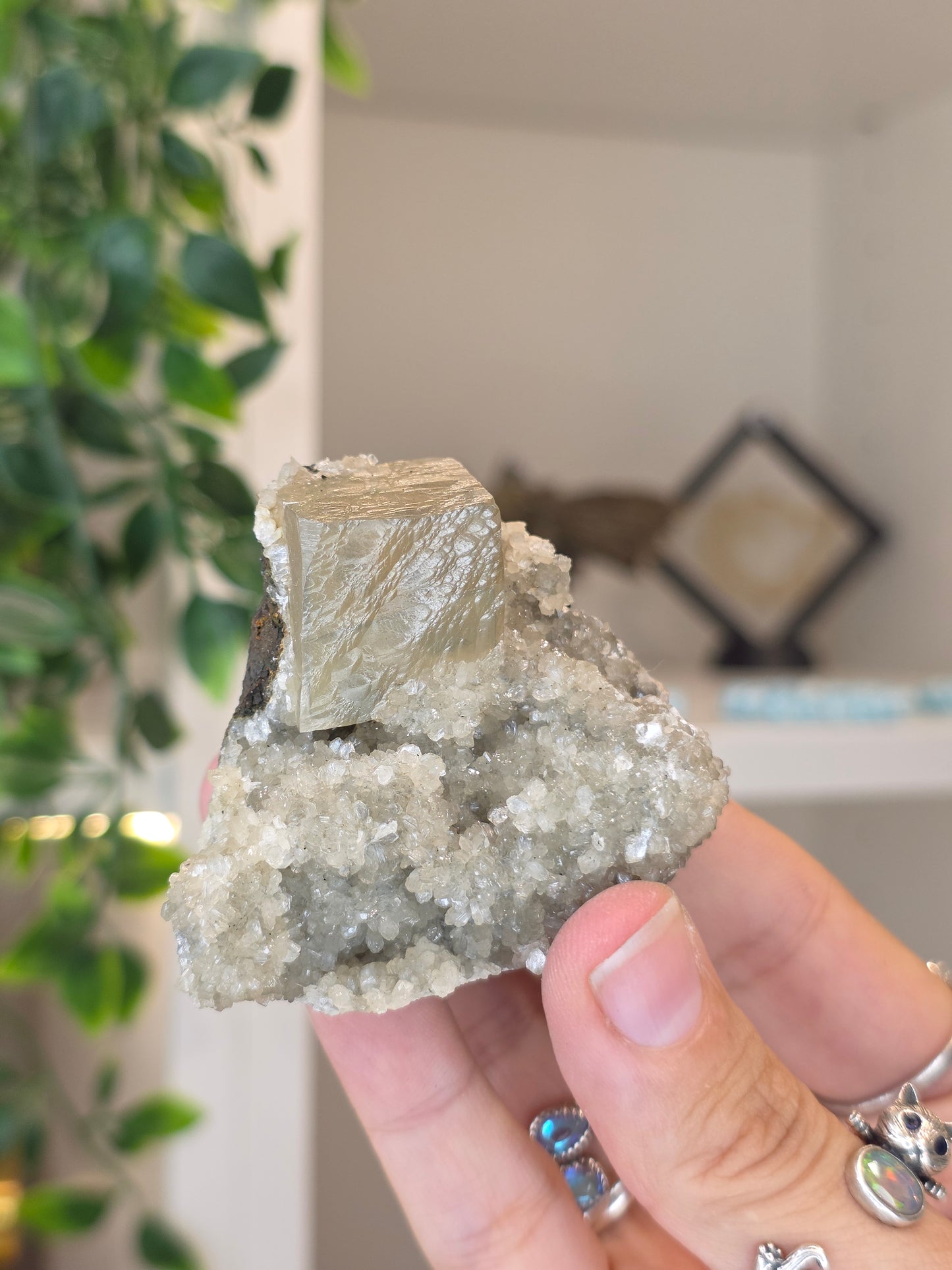 Honey Calcite Cubes on Druzy Sugar Calcite and Stilbite Matrix from Madhya Pradesh, India - K