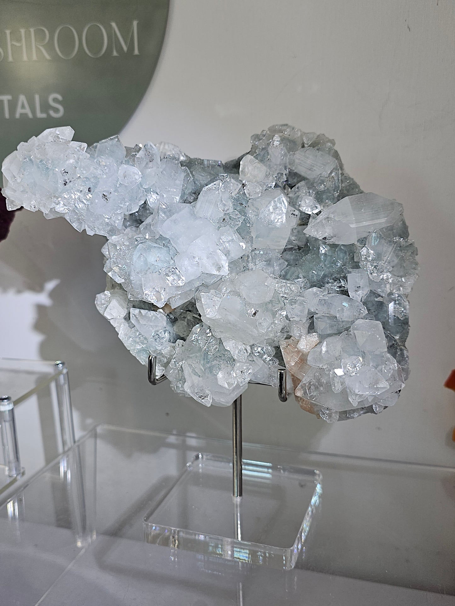 Diamond Apophyllite on Blue Chalcedony with Stilbite from India - MAS2441