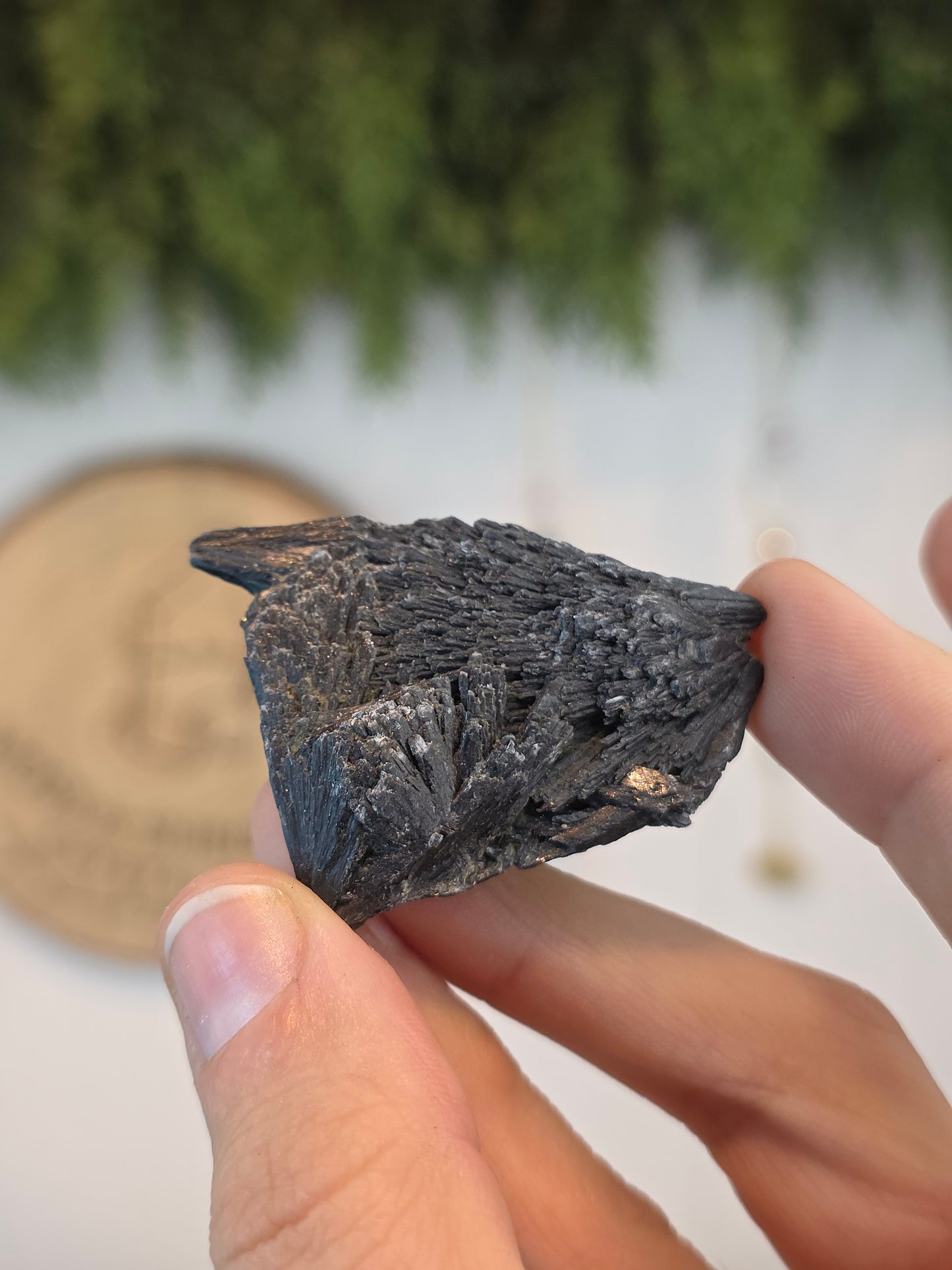 Brazilian Black Kyanite