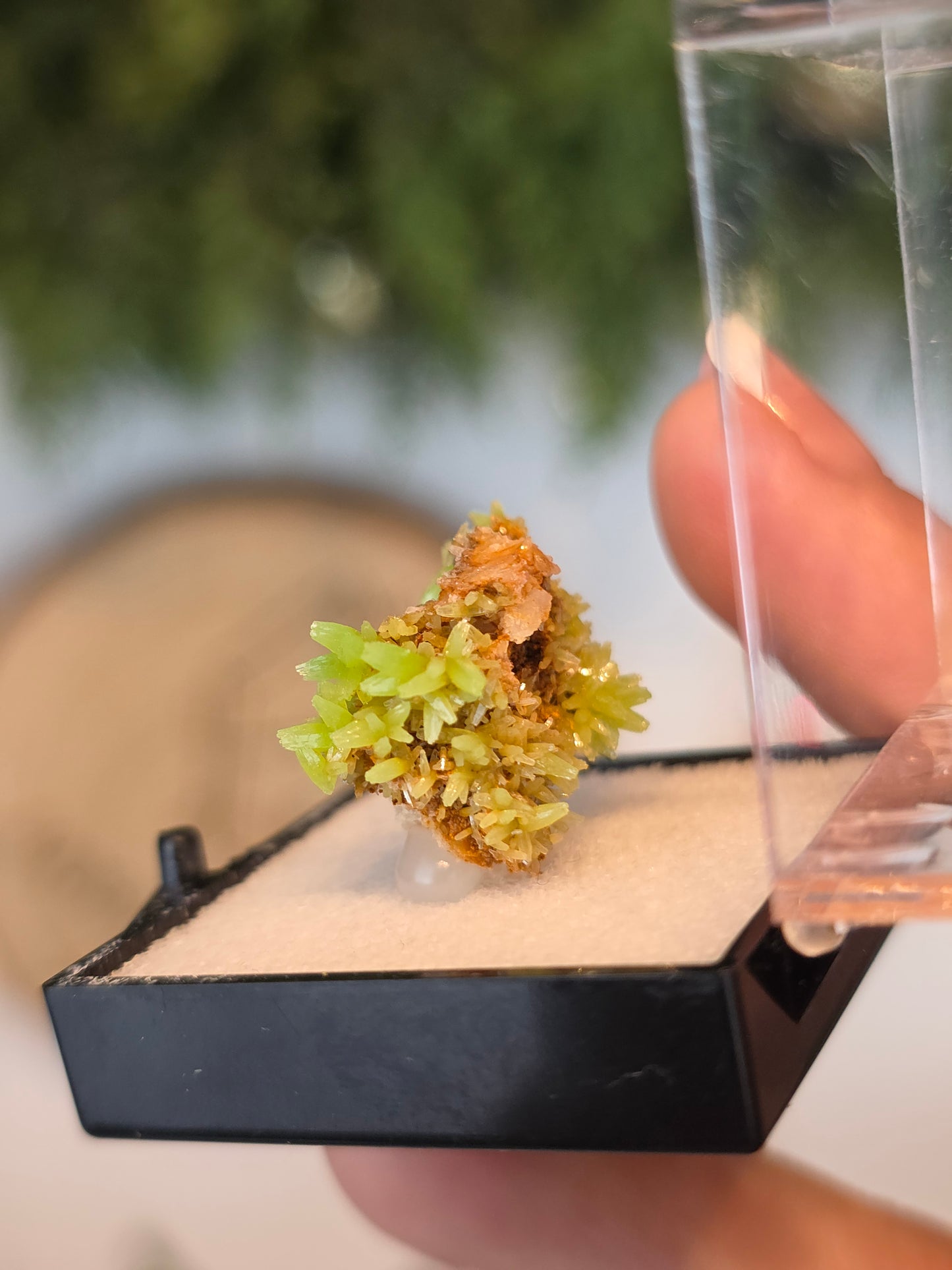 Pyromorphite Specimen from Guang Xi, China - MAS6095