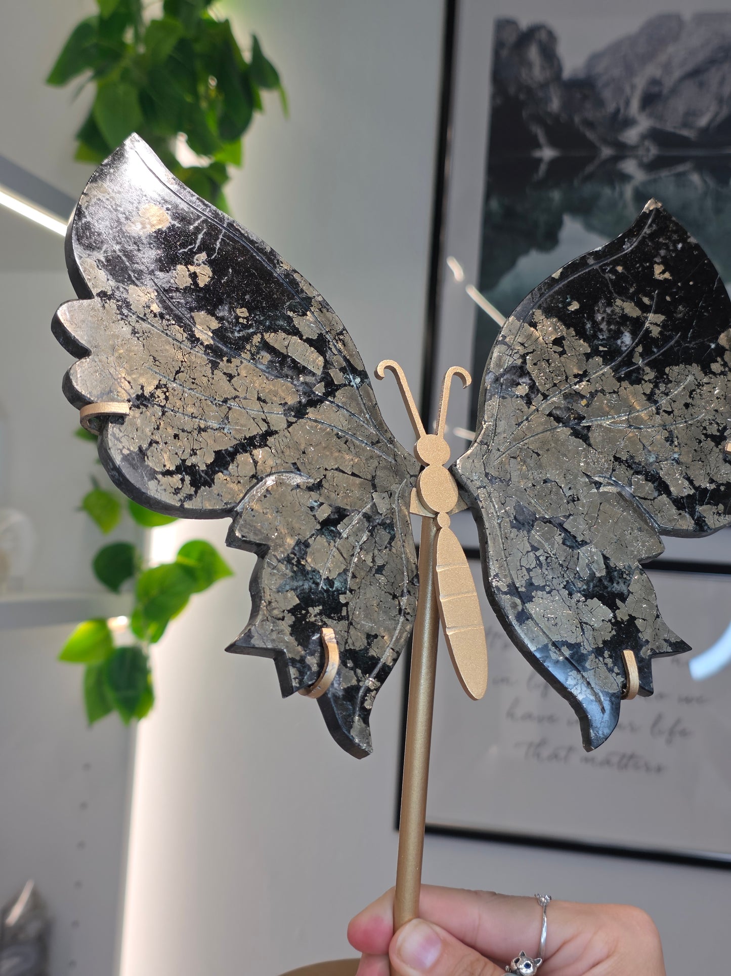Pyrite Butterfly Wings on Custom Stand - B
