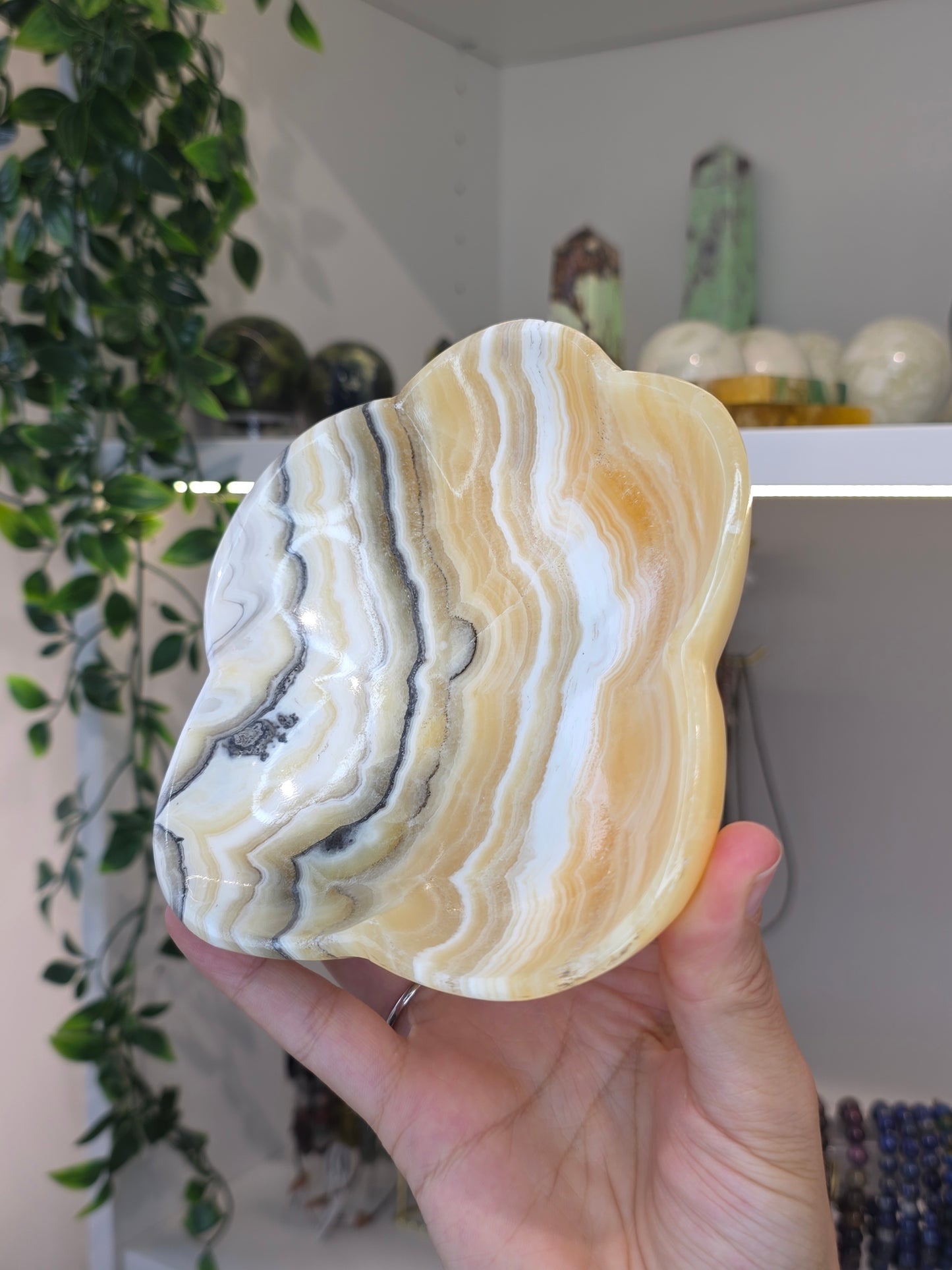Mexican Onyx Bowl - Yellow Zebra Calcite - D
