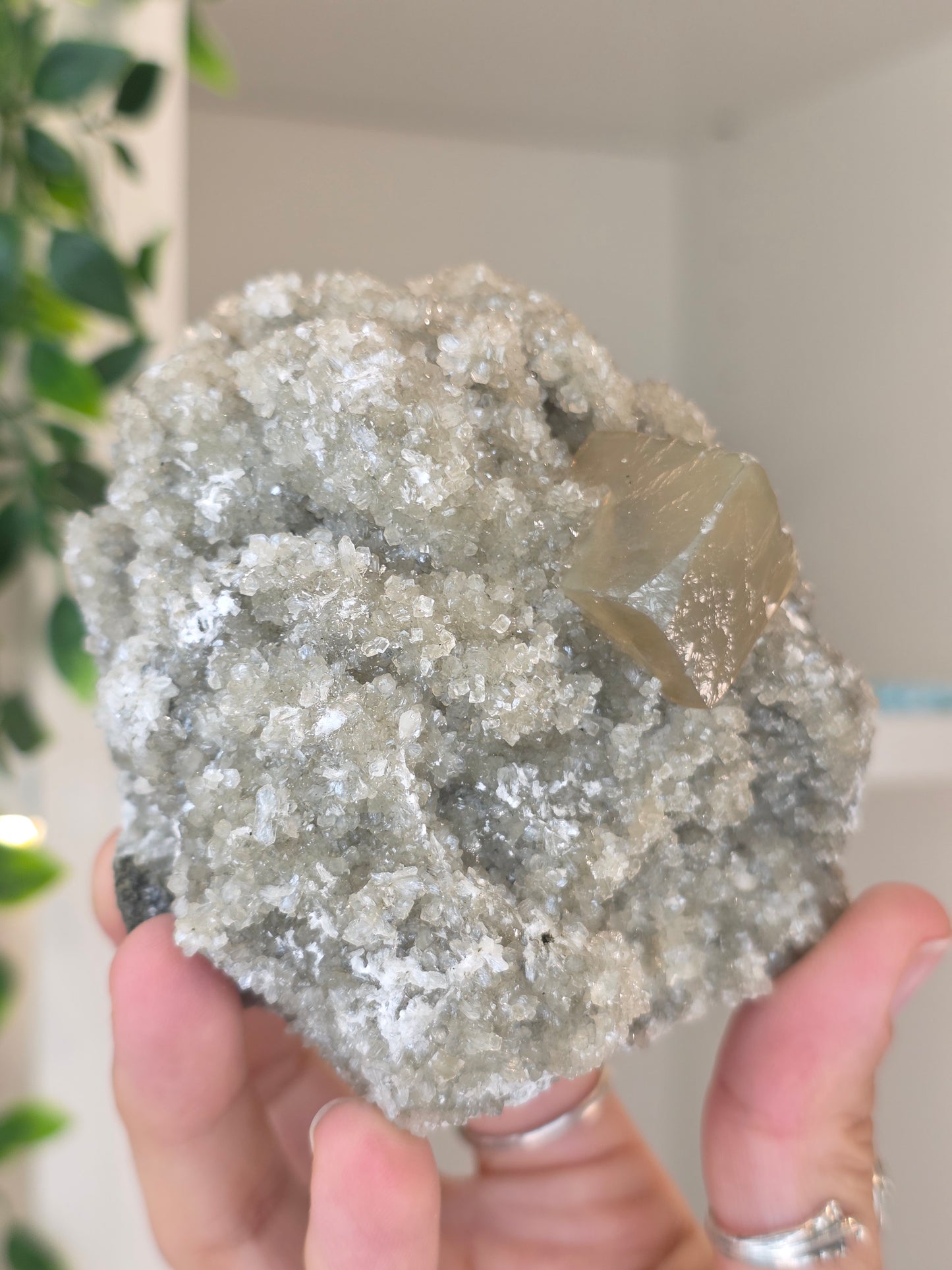 Honey Calcite Cubes on Druzy Sugar Calcite and Stilbite Matrix from Madhya Pradesh, India - AB