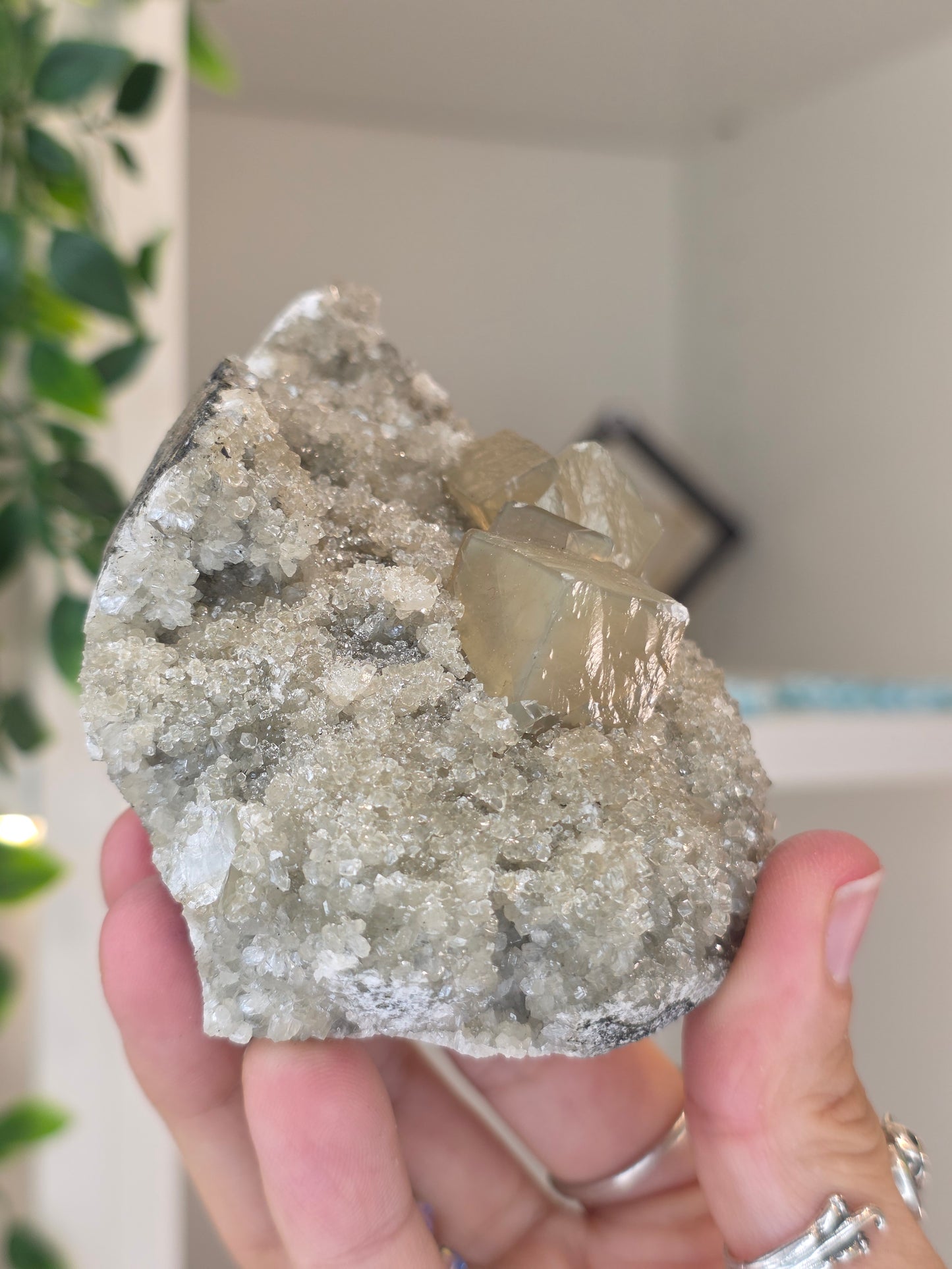 Honey Calcite Cubes on Druzy Sugar Calcite and Stilbite Matrix from Madhya Pradesh, India - Y