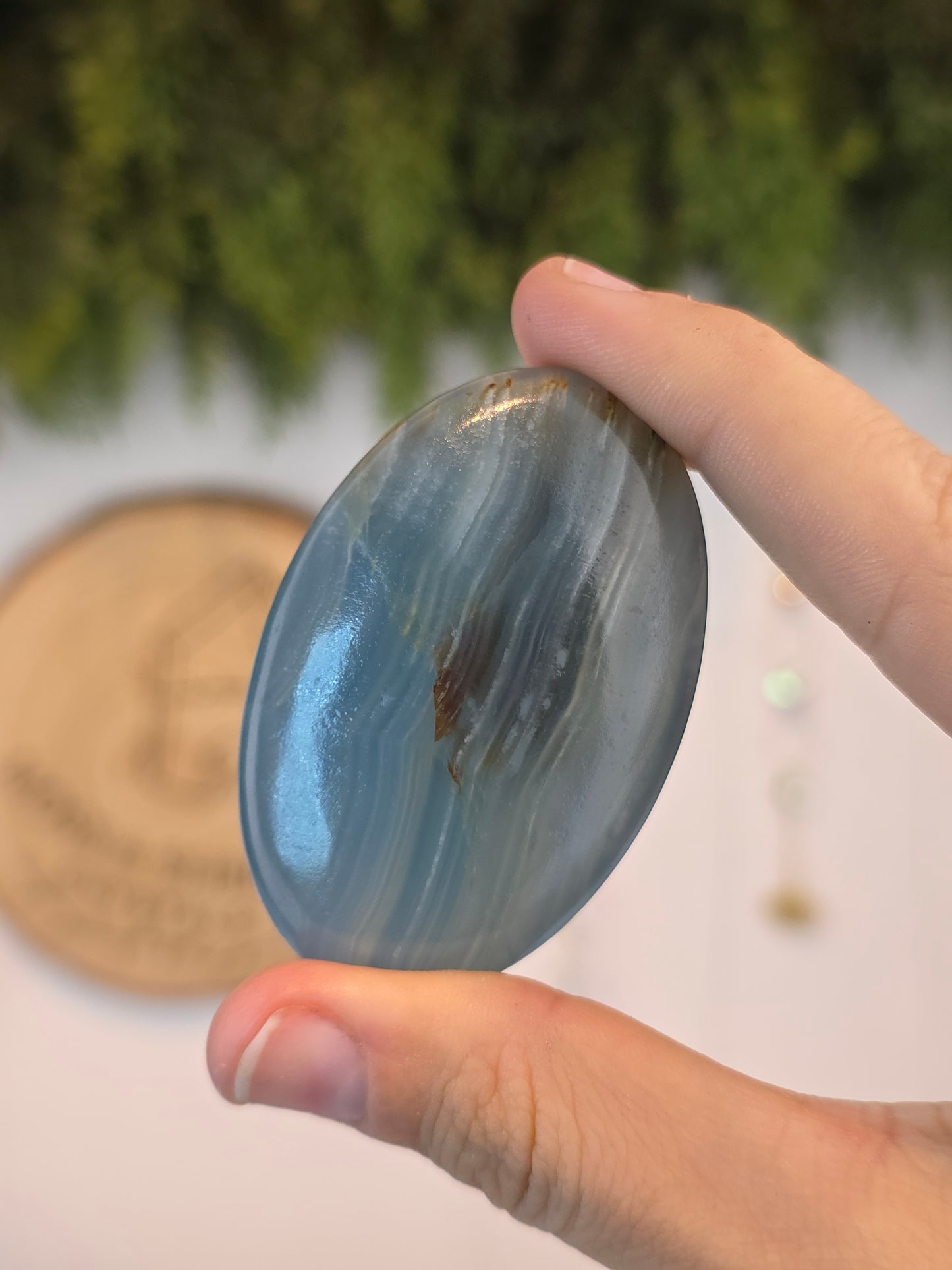 Blue Onyx Palms