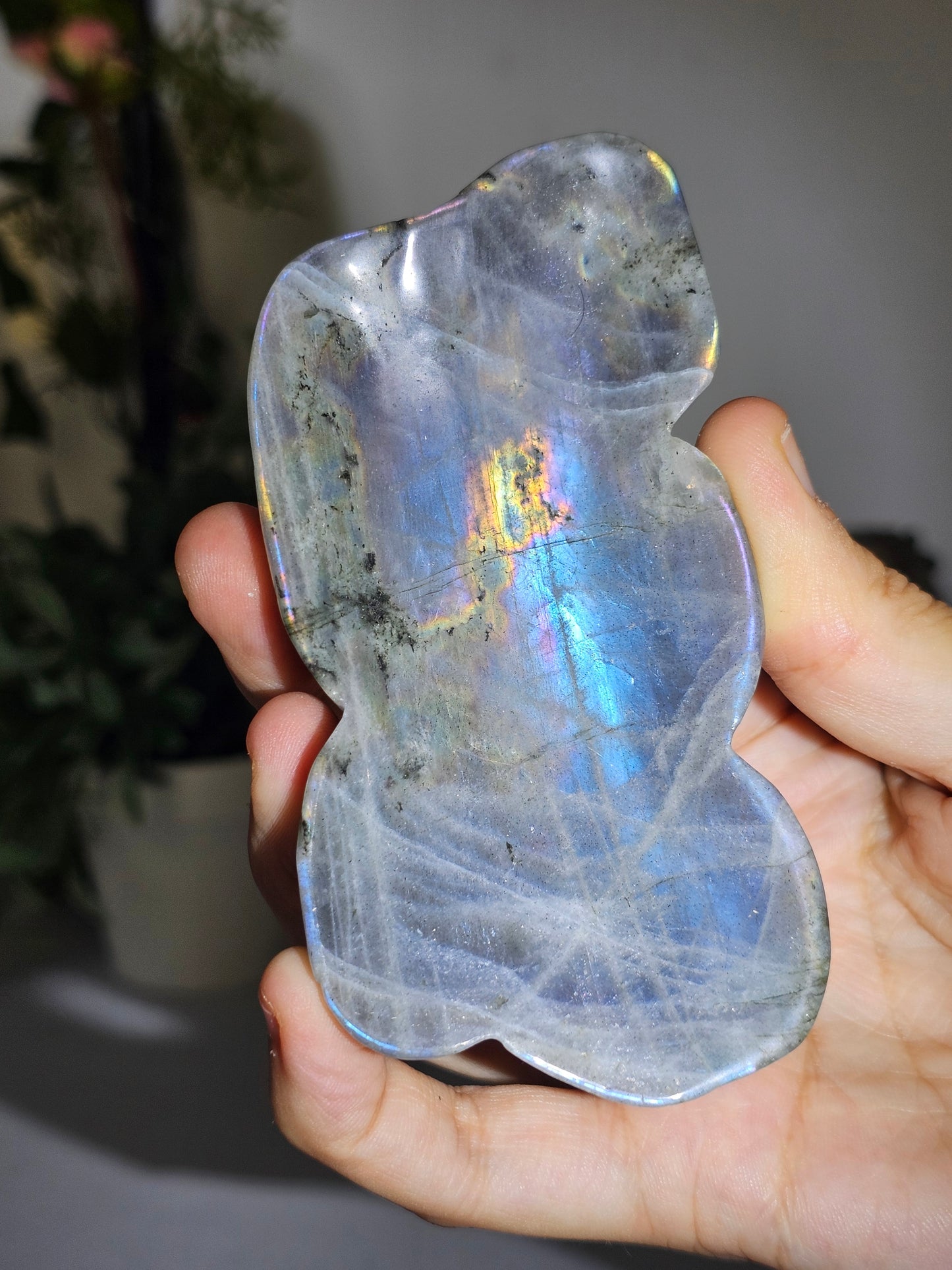 Labradorite Bowl - MAS0717