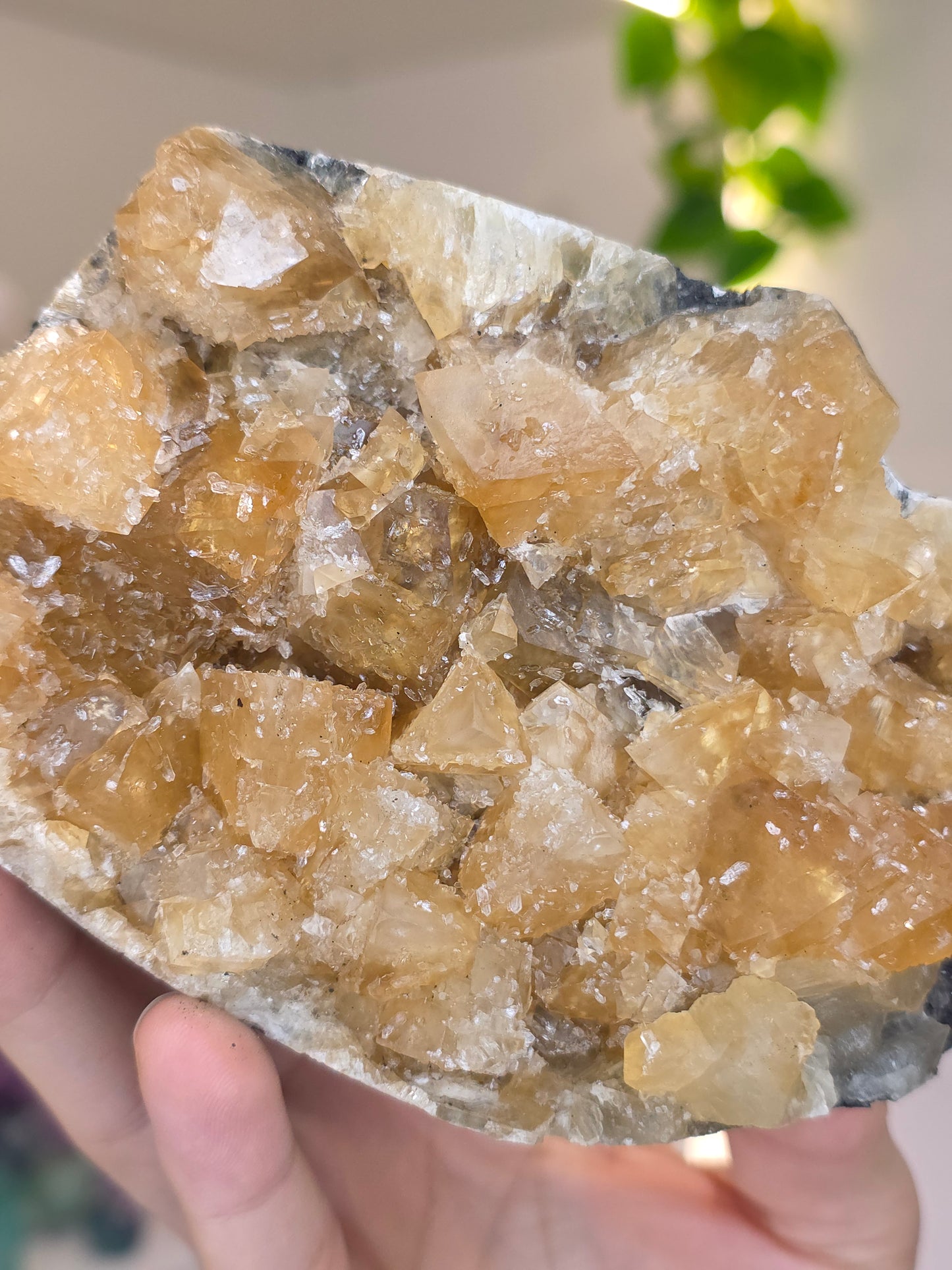 Honey Calcite (K) from Madhya Pradesh India