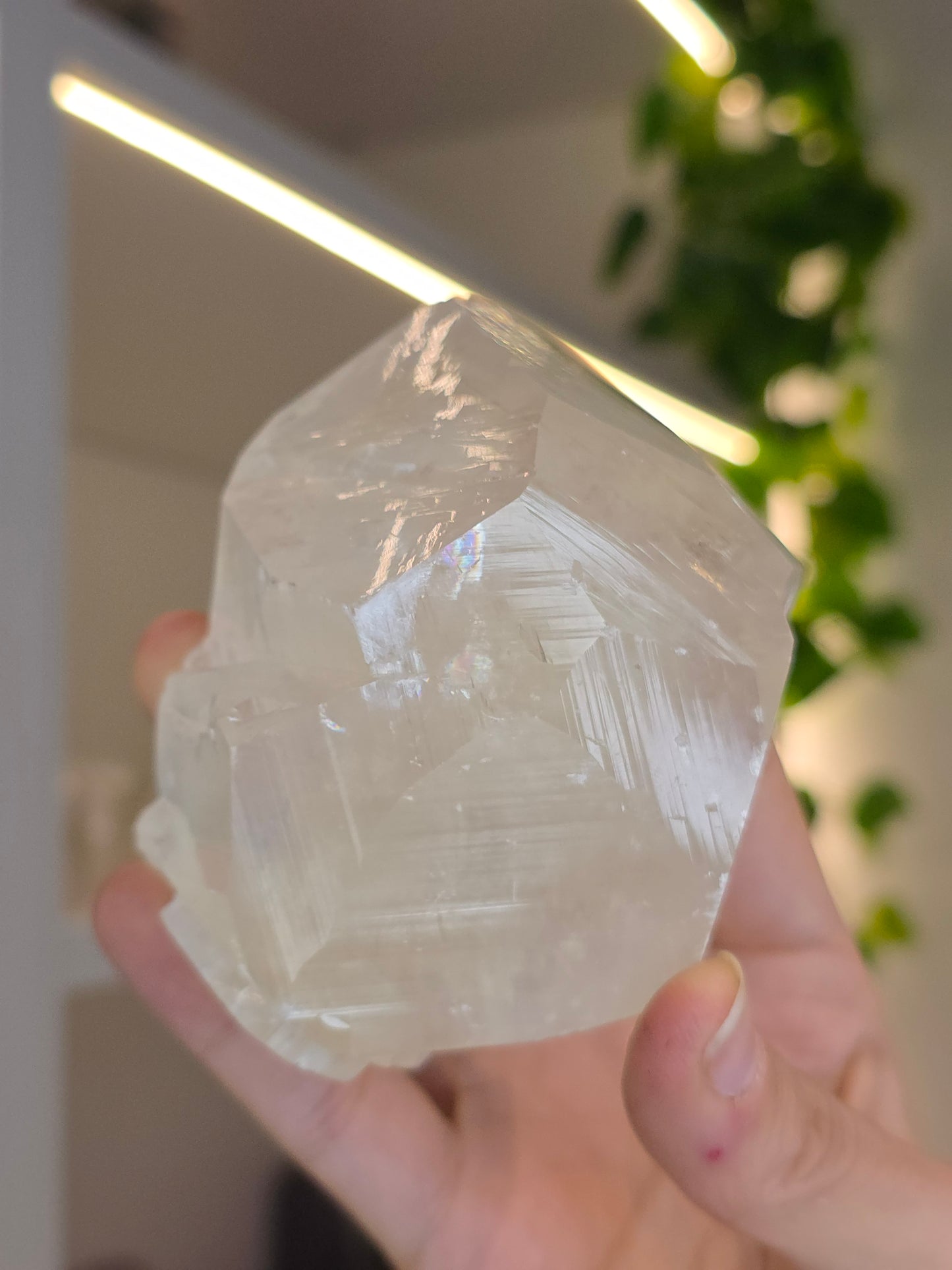 Honey Optical Calcite Freeform Chunk D from Pakistan