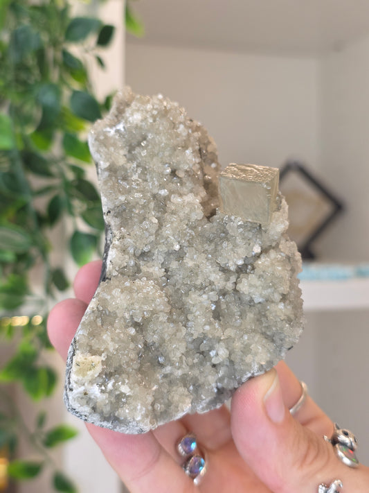 Honey Calcite Cubes on Druzy Sugar Calcite and Stilbite Matrix from Madhya Pradesh, India - S