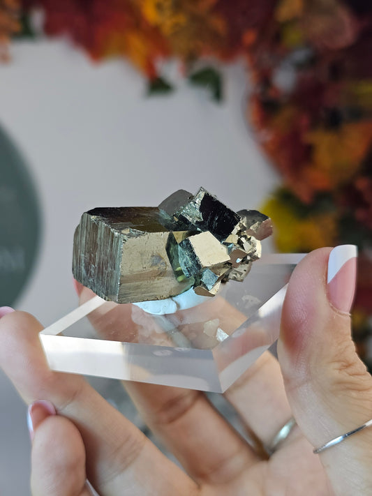 Cubic Pyrite B from the Shang Bao Mine, China - MAS1465
