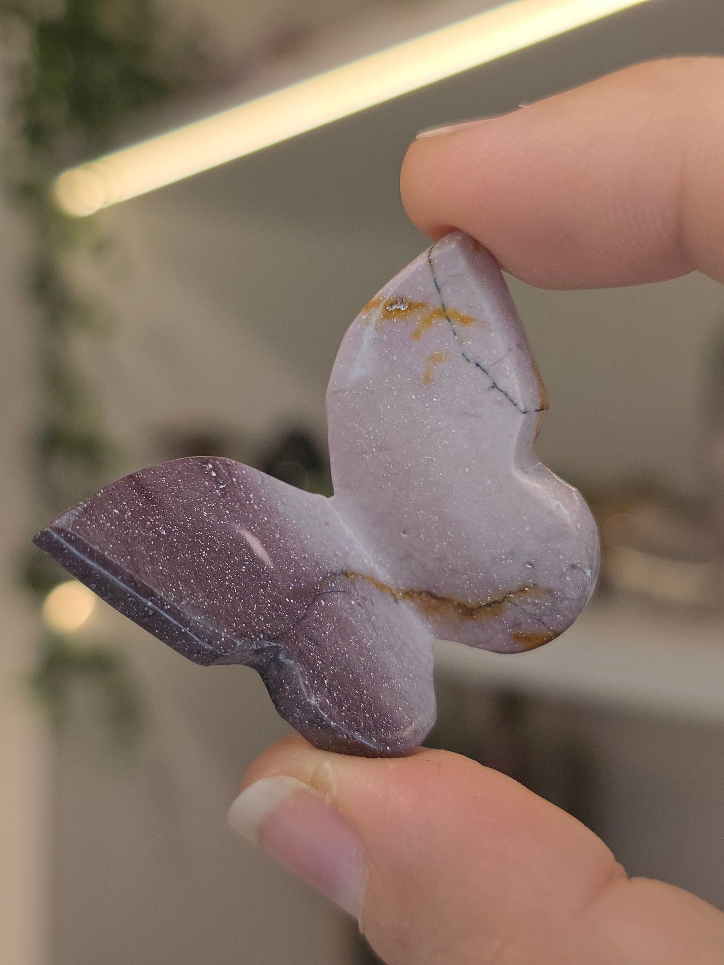 Hyacinth Jasper Butterflies