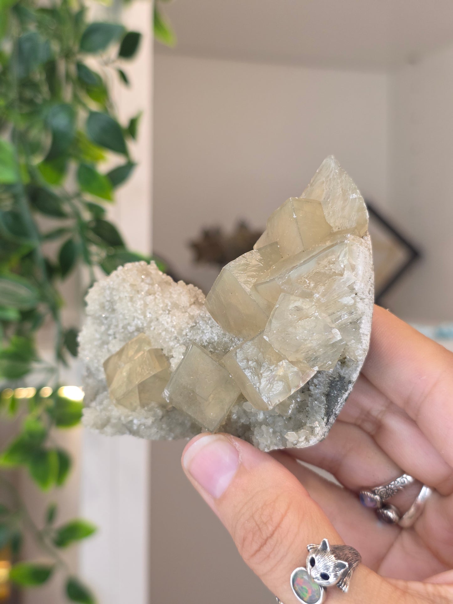 Honey Calcite Cubes on Druzy Sugar Calcite and Stilbite Matrix from Madhya Pradesh, India - M