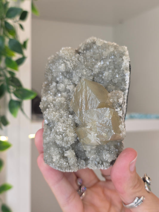 Honey Calcite Cubes on Druzy Sugar Calcite and Stilbite Matrix from Madhya Pradesh, India - Z