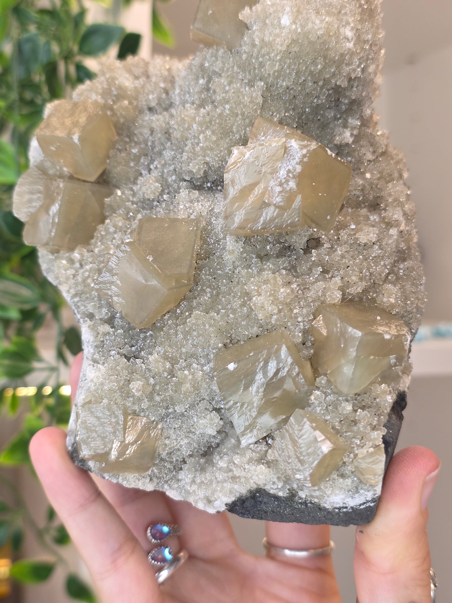 Honey Calcite Cubes on Druzy Sugar Calcite and Stilbite Matrix from Madhya Pradesh, India - AL