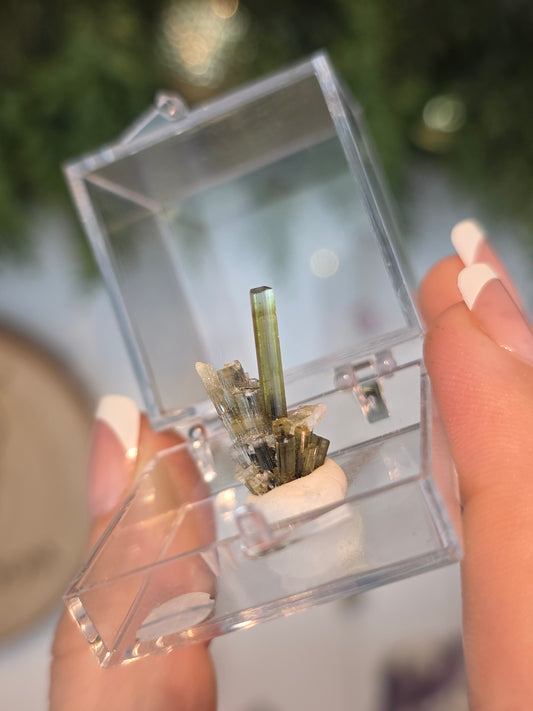 Elongated Prysmatic Green Tourmaline from Pakistan - MAS6088