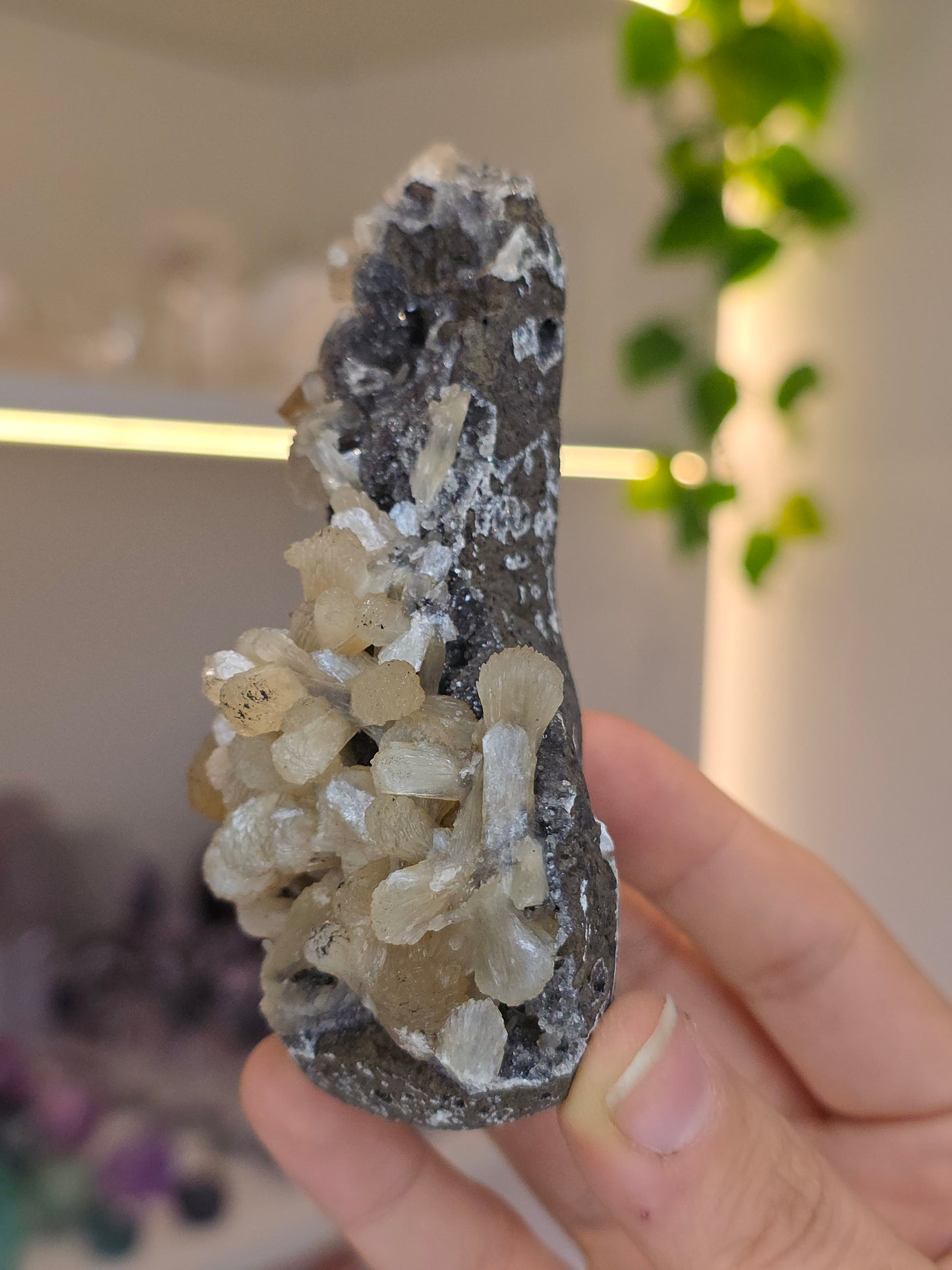 Honey Calcite on Black Chalcedony with Stilbite (AB) from Madhya Pradesh India