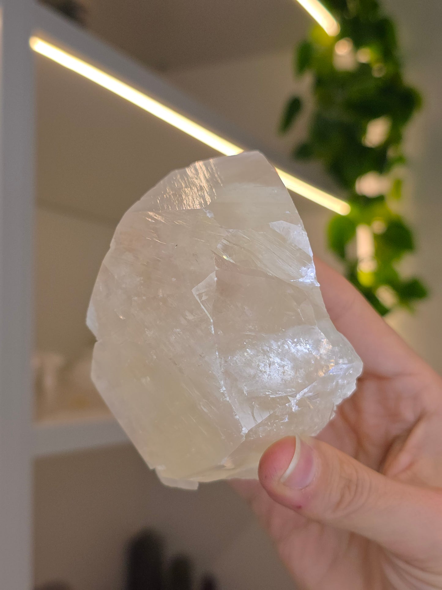 Honey Optical Calcite Freeform Chunk D from Pakistan