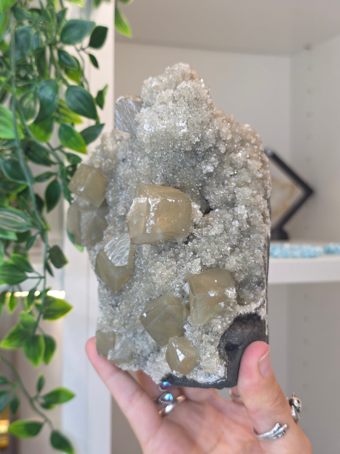 Honey Calcite Cubes on Druzy Sugar Calcite and Stilbite Matrix from Madhya Pradesh, India - AL