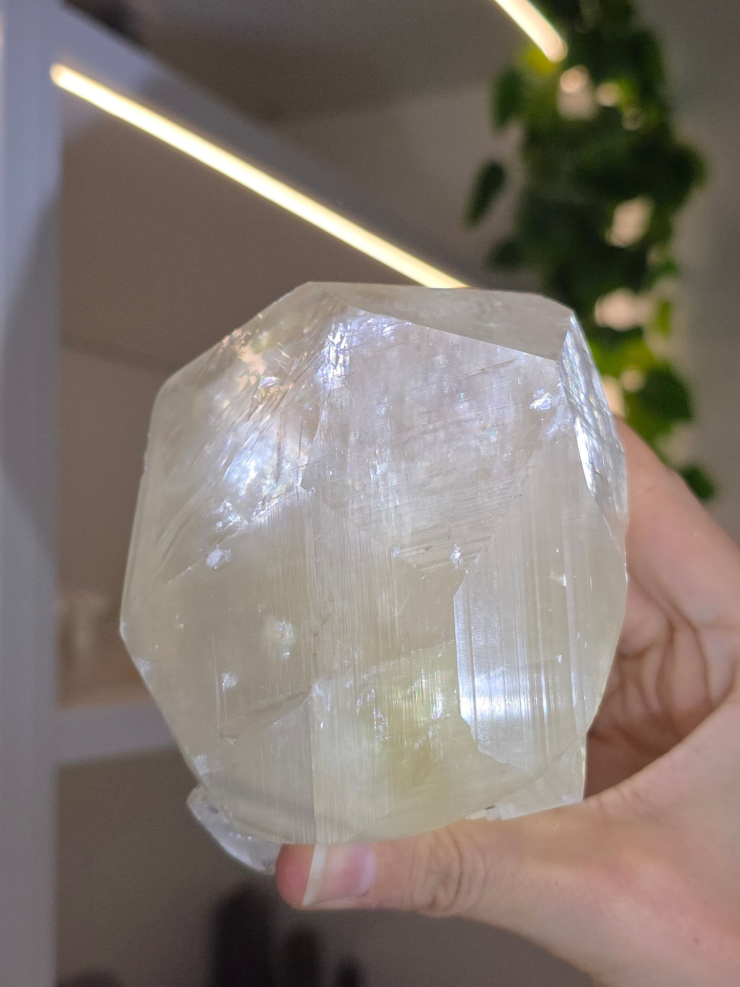 Honey Optical Calcite Freeform Chunk E from Pakistan