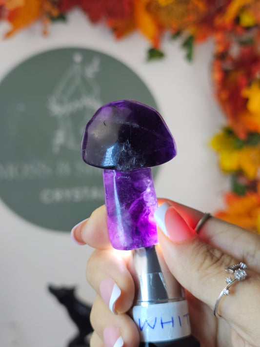 Fluorite Mushroom B - MAS1355