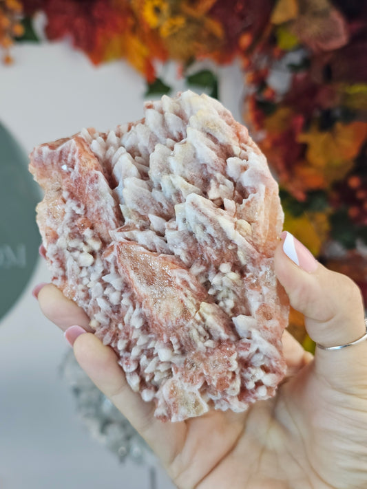 Pink Wolf Tooth Calcite A from Guizhou Province, China - MAS2422