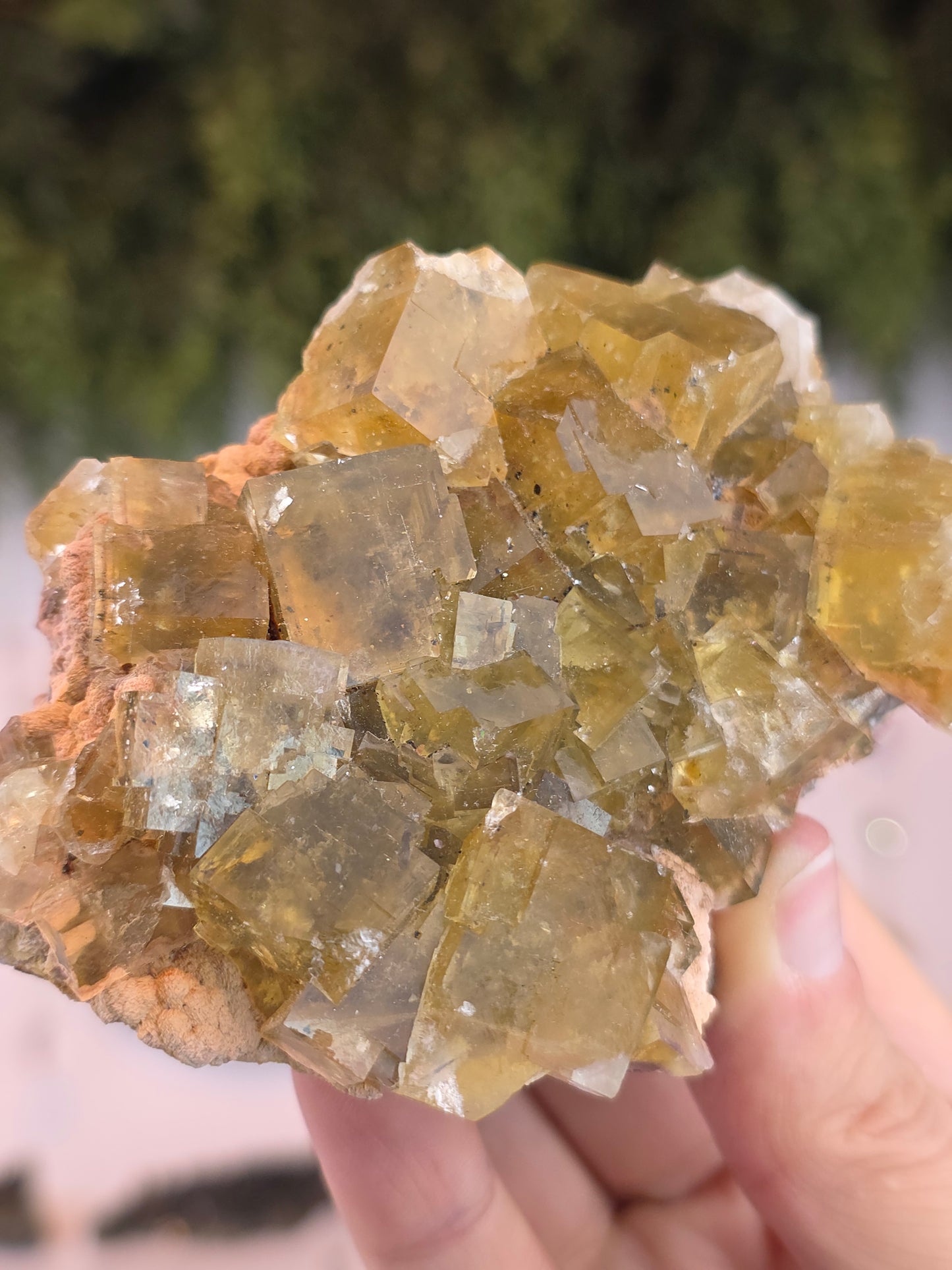 Yellow Cubic Fluorite from Beijing, China
